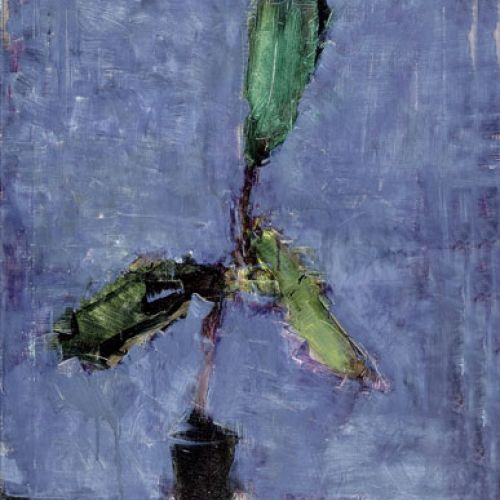 Jacek Sienicki, Fikus , 1995 r., Desa Unicum