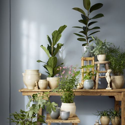 jak odświeżyć salon na wiosnę