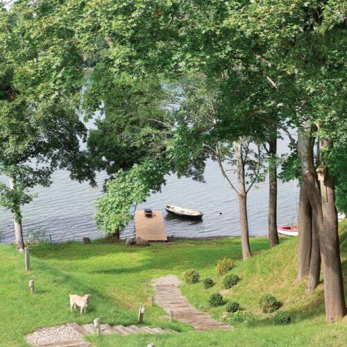 Jak urządzić wnętrze w stylu prowansalskim? Malowanymi antykami, tkaninami w pastelowych kolorach, starą ceramiką, kwitnącą