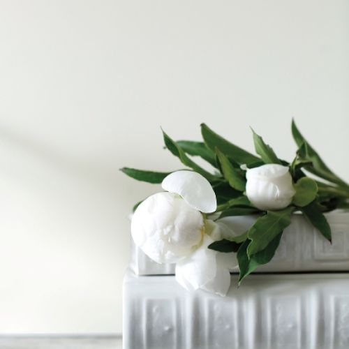 Jedna z najbardziej znanych i ekskluzywnych marek kolorystycznych Benjamin Moore ogłosiła niedawno, że kolorem roku