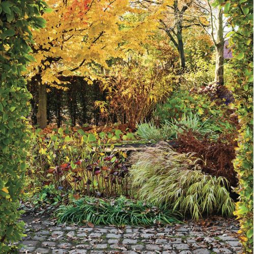 Najpiękniejszy jesienny ogród Holandii