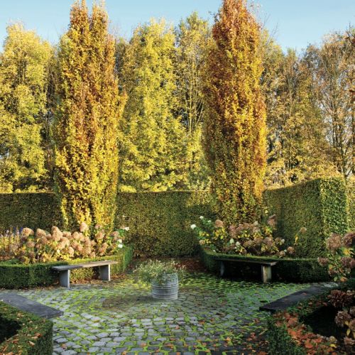 Najpiękniejszy jesienny ogród Holandii