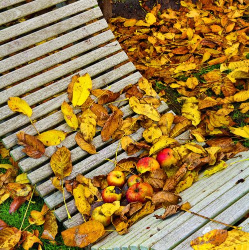 Najpiękniejszy jesienny ogród Holandii