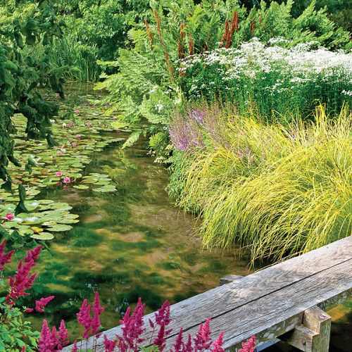 Jeśli myślisz, że wodne ogrody swój nastrój zawdzięczają tylko liliom pływającym po jeziorze, musisz odwiedzić