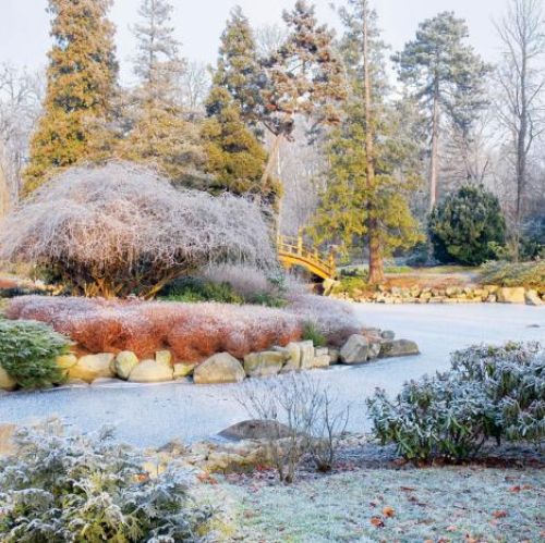 Kamienie dekorują oczko wodne. Ogród japoński pod śniegiem