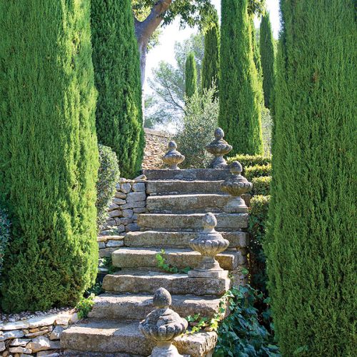 Kamienne schody prowadzące m.in. do basenu w ogrodzie.