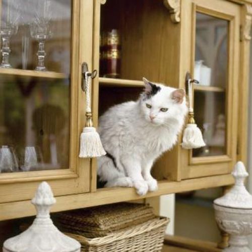 Każdy z domowników znajdzie miejsce dla siebie.