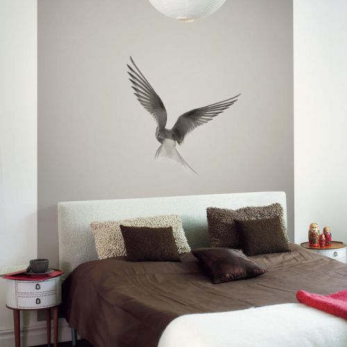 Kolekcja Photo, tapeta Dove, Mr Perswall