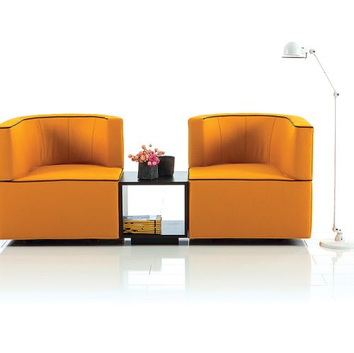 Kolorowy dizajn. Dizajn, kanapa, meble