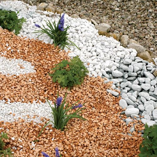 Kolorowy żwirek pięknie komponuje się z bylinami.