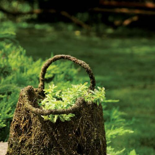 Kosz z drucianej siatki i mchu doskonale sprawdza się jako ogrodowa donica.