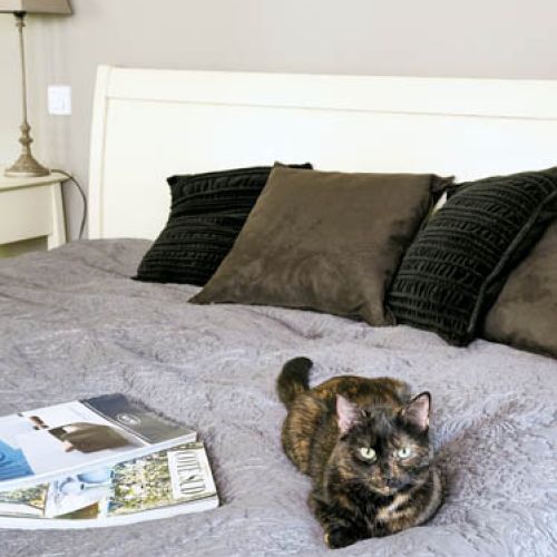 Kotka Zara - cała w brązach. Toskania po polsku