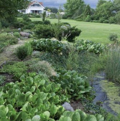 Kto by pomyślał, że jeszcze niedawno było tu pole i rosło żyto.