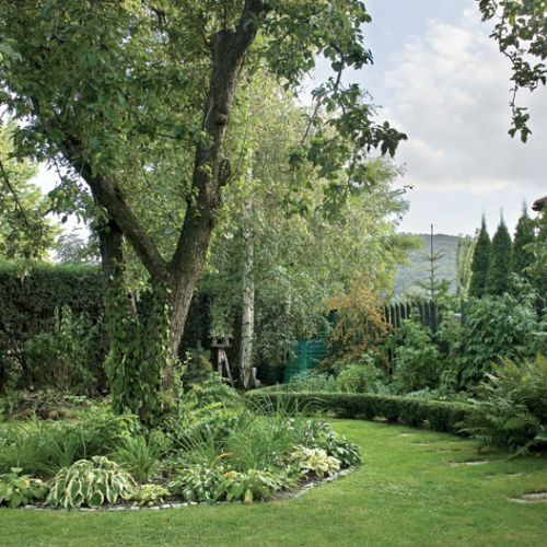 Kwiaty potrzebują czasu i troski. Odwdzięczą się pięknym wyglądem.