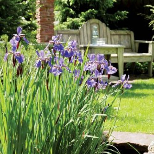 Kwiaty w ogrodzie. Ogród zadumany