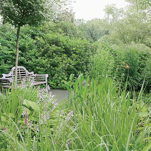 Ławka ukryta wśród zieleni. Ogród w lesie