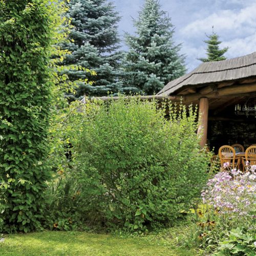 Letni pokój nad stawikiem. Ogród urządzony z pasją