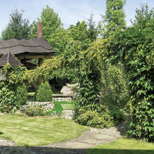 Letni pokój nad stawikiem. Ogród urządzony z pasją