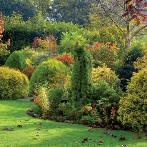 Lisiaste krzewy i drzewa mienią się kolorami żółci i czerwieni, a iglaki wciąż zielone.