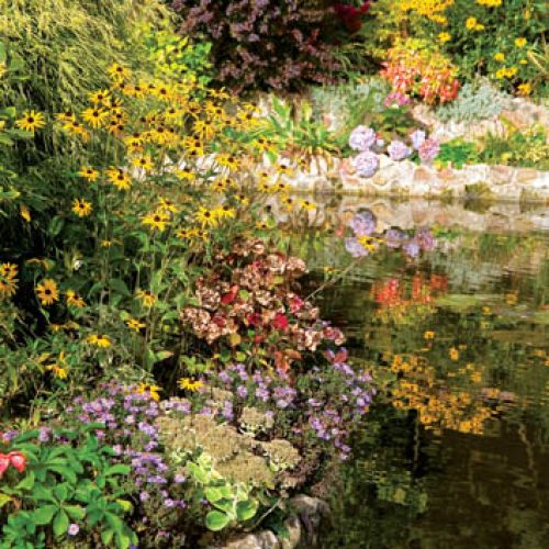 Malownicza paleta żółci, zieleni i fioletów.