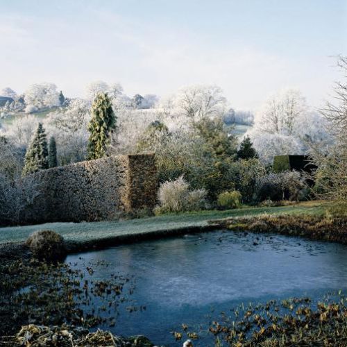 Malowniczo wygląda cisowo- bukowy żywopłot.