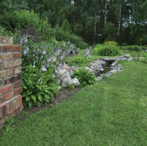 Mały strumyk wpada do stawu. Jak lawenda przegoniła żyto