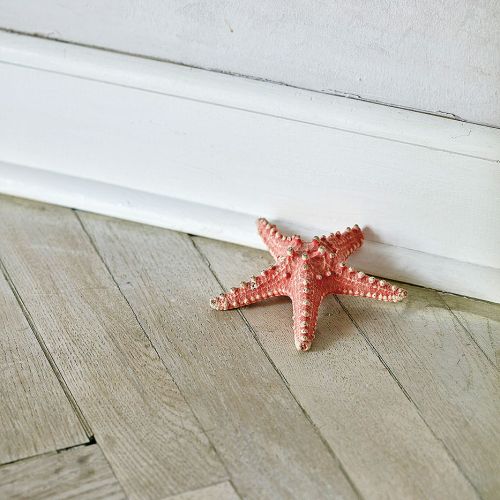 Mieszkanie Mariusza Szczygła. Jak mieszka i pracuje Mariusz Szczygieł