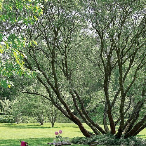 Można się tu poczuć jak w toskańskiej rezydencji, która należy do rodziny od kilkunastu pokoleń.