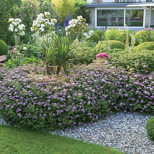 Murawa, ścieżki wysypane żwirem lub wyłożone otoczakami, przycięte w kule bukszpany, barwne kępy ostróżek.