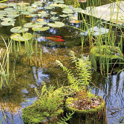 Najpierw można podumać nad strumykiem. Potem poczytać na ławce przy fontannie. A na koniec pooglądać karpie w stawie. Ten