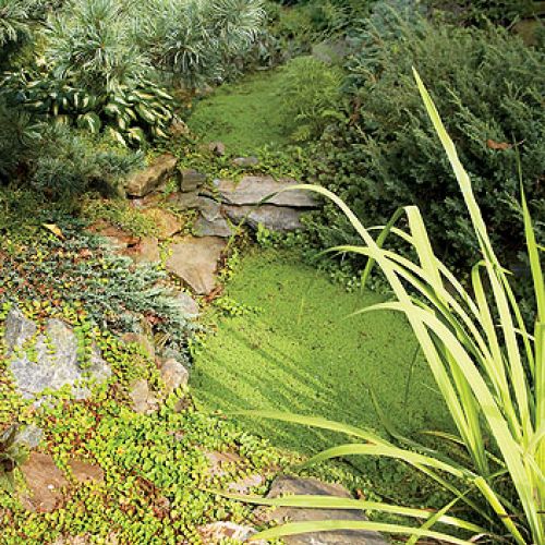 Najpierw można podumać nad strumykiem. Potem poczytać na ławce przy fontannie. A na koniec pooglądać karpie w stawie. Ten