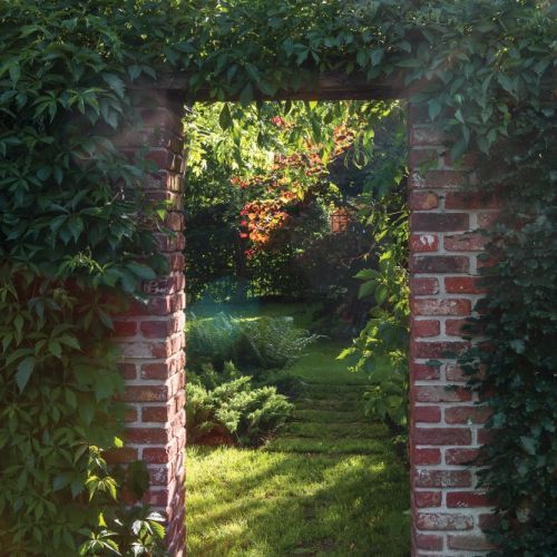 naturalny ogród przydomowy aranżacja