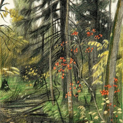 Notatki krajobrazu, tzw. towpiki, Puszcza Białowieska, 12.X.76, godz. 12.30.