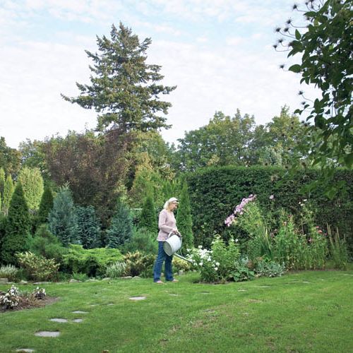 O tym jak pielęgnować ogród właścicielka dowiaduje się m.in. z sieci.