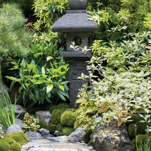 Oczko wśród klonów