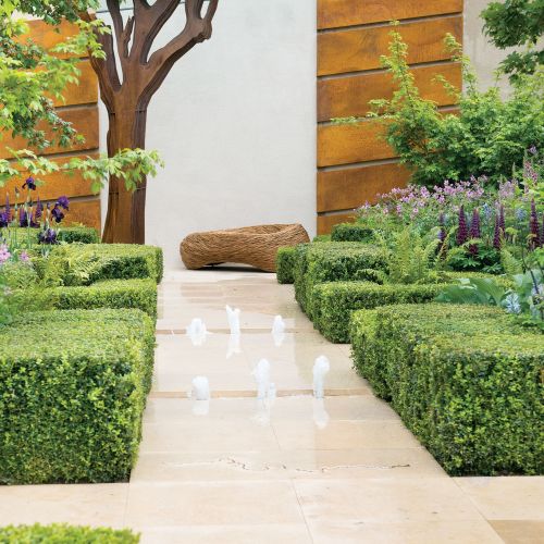 Oczko wśród klonów