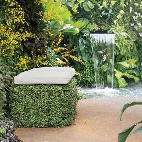 Oczko wśród klonów