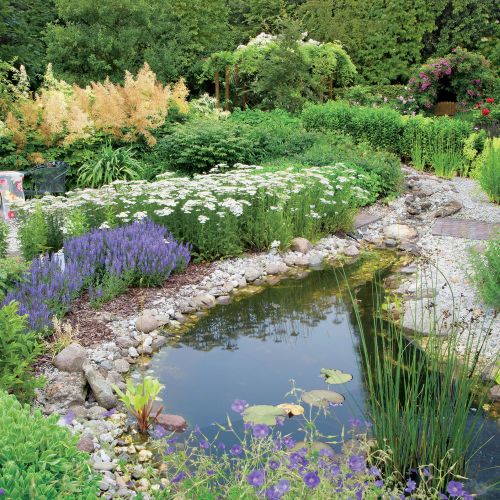 Oczko wśród klonów