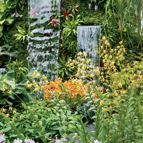 Oczko wśród klonów