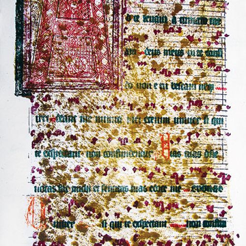 Klan malarski Dominików