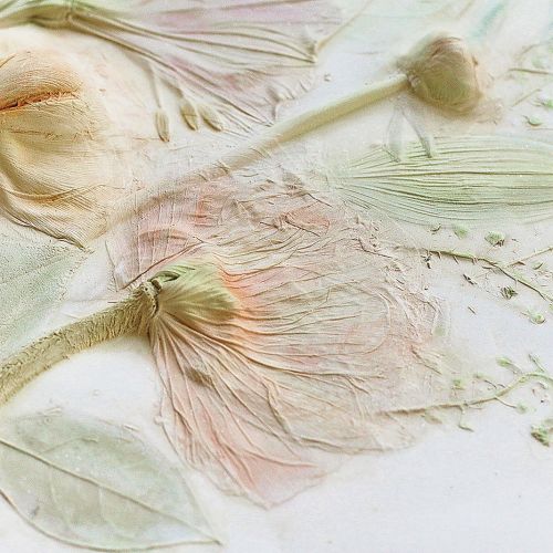 Romę Roman fascynuje eteryczne piękno kwiatów i ziół. Długo zastanawiała się, jak zatrzymać ich przemijanie.