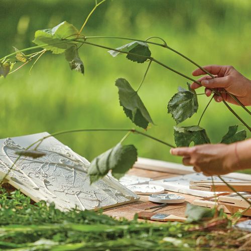 Romę Roman fascynuje eteryczne piękno kwiatów i ziół. Długo zastanawiała się, jak zatrzymać ich przemijanie.