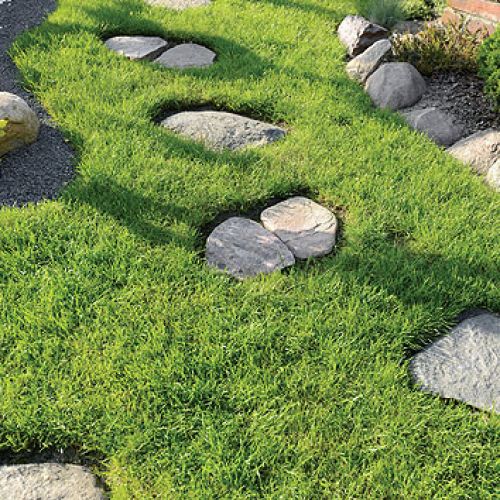 Ogród japoński - pomysł nie jest dla narwańców. Potrzeba mnóstwo cierpliwości, by rzecz doprowadzić do końca.