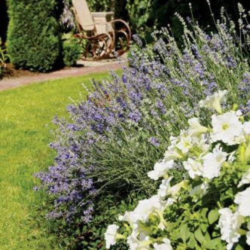 Ogród o każdej porze roku zachwyca kolorami.