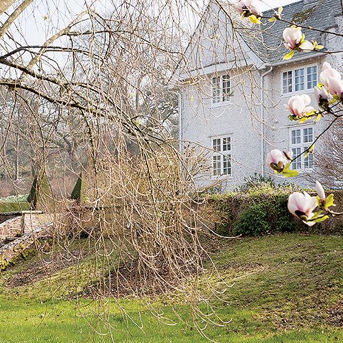 Ogród w Sherwood. Magnoliami wiosna się zaczyna