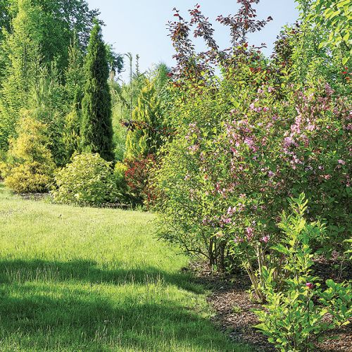 Ogród ze stawem, altankami i ławeczkami do dumania.