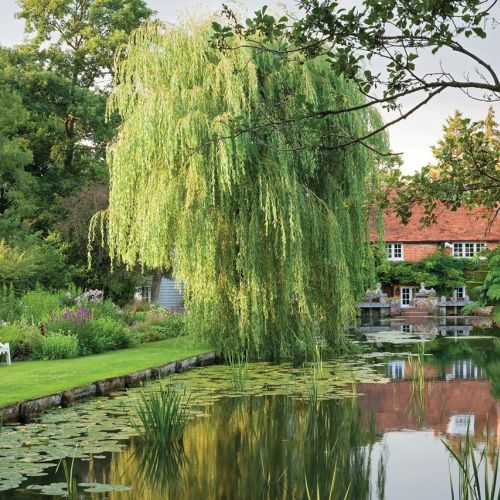Ten angielski ogród tworzy woda. Strumień zamienia się w staw ujęty w kamienne ramy