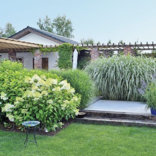 ogród z oczkiem wodnym i trejażem