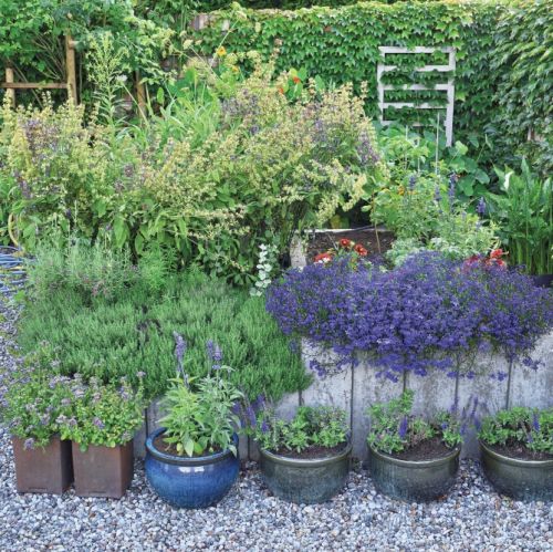 ogród z oczkiem wodnym i trejażem