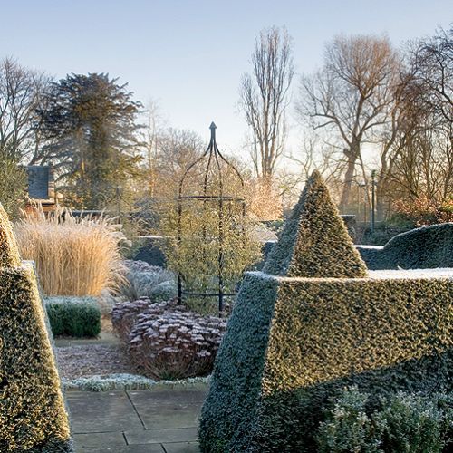 Ogrodnik zastąpił róże cisowymi żywopłotami, bukszpanami przystrzyżonymi w sześciany i drzewkami oliwnymi w kształcie kostek